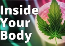 How Cbd Works To Relieve Pain: A Deep Dive Into The Human Body’S Endocannabinoid System