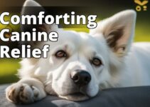 Revolutionizing Pet Health: Cbd Oil’S Potential In Supporting Dogs With Cancer