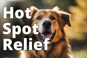 From Itchy To Itch-Free: Cbd Oil Benefits For Hot Spots In Dogs