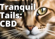 Unlock The Secret To Cat Urinary Tract Health With Cbd Oil