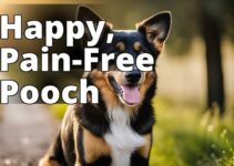 Cbd Oil For Dog Joint Pain: A Natural Solution For Canine Comfort